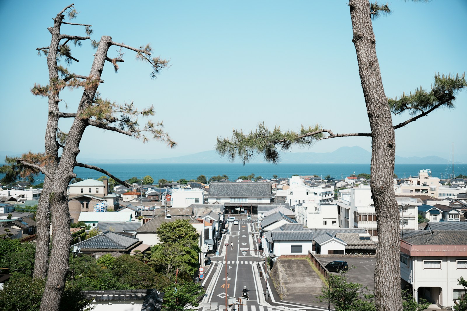 A town between trees and the ocean